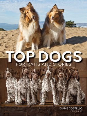 cover image of Top Dogs